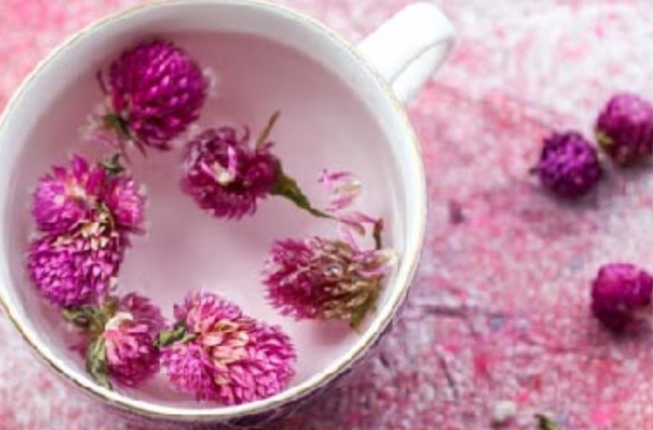 Bunga Ratna, dikenal juga sebagai bunga kenop atau Globe Amaranth