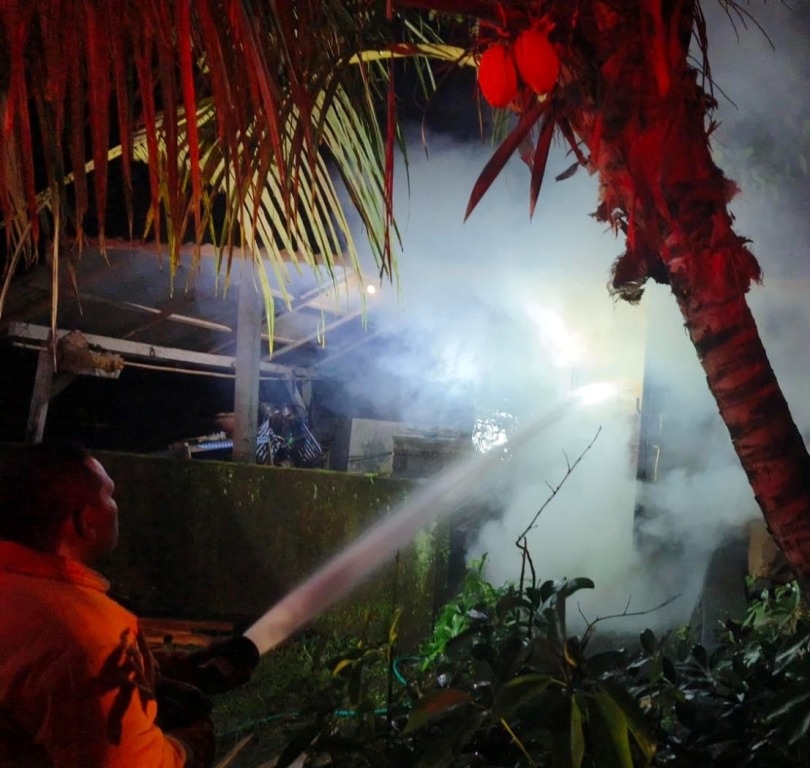 PADAMKAN API : Regu 1 Damkar Jembrana memadamkan api yang menghanguskan usaha pengopenan kayu di Banjar Petanahan, Desa Batu Agung, Kecamatan Jembrana, Senin (1/4) malam.