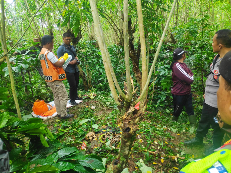 lokasi temuan kerangka Pekak Nayok di kebun kopinya di Banjar Tamansari Desa Pujungan Kecamatan Pupuan.