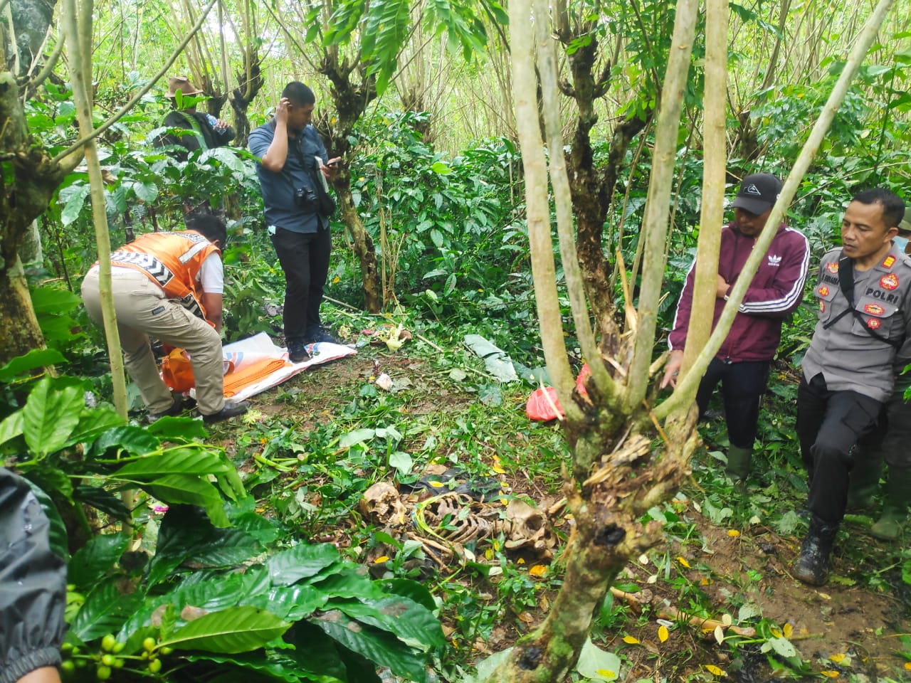 Lokasi temuan kerangka Pekak Nayok di kebun kopinya di Banjar Tamansari Desa Pujungan Kecamatan Pupuan, Tabanan, Bali.