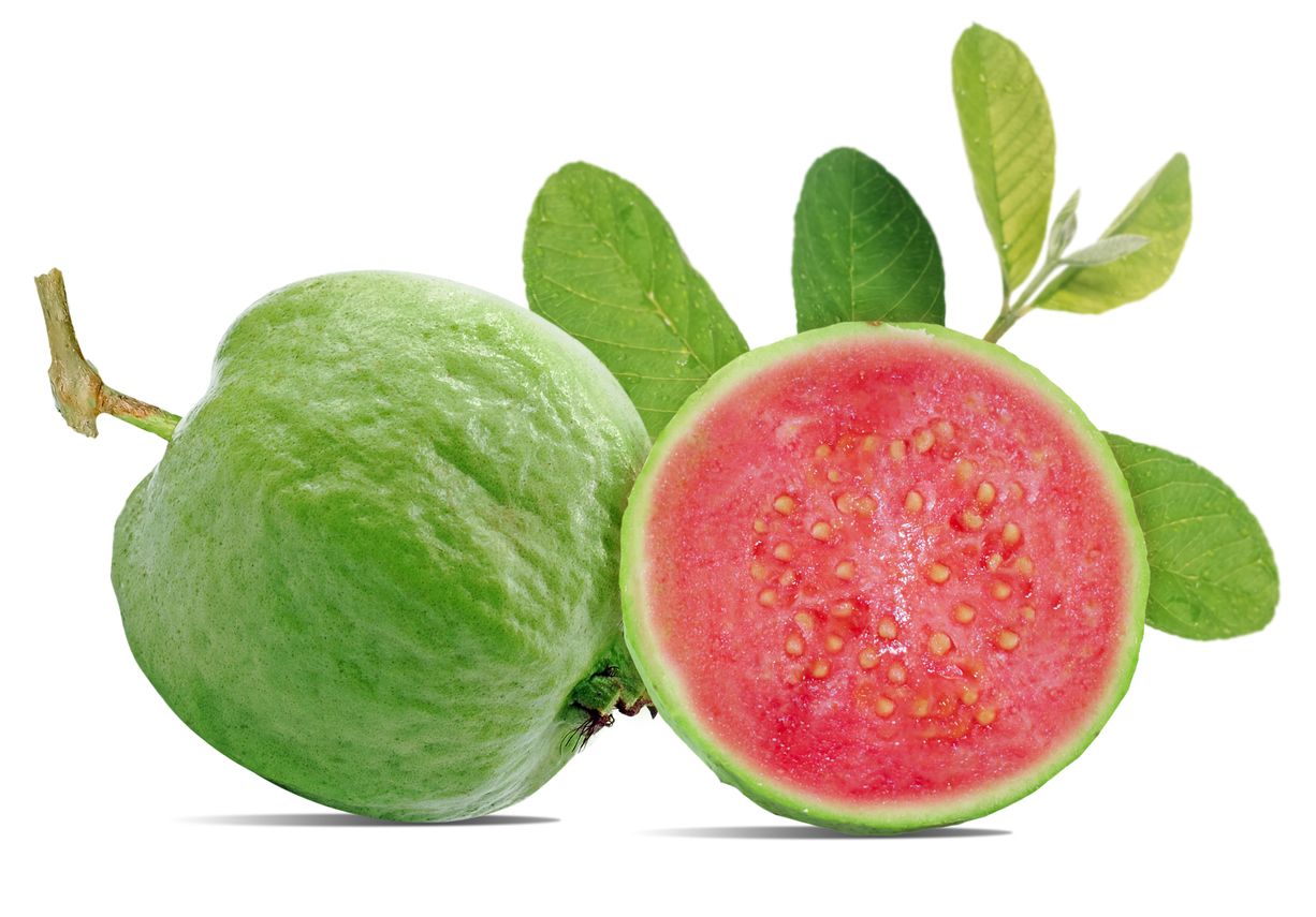 Jambu Biji
