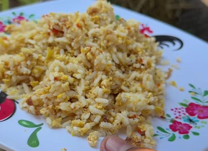 Nasi goreng suna cekuh yang dibuat oleh influencer Jejak I Made