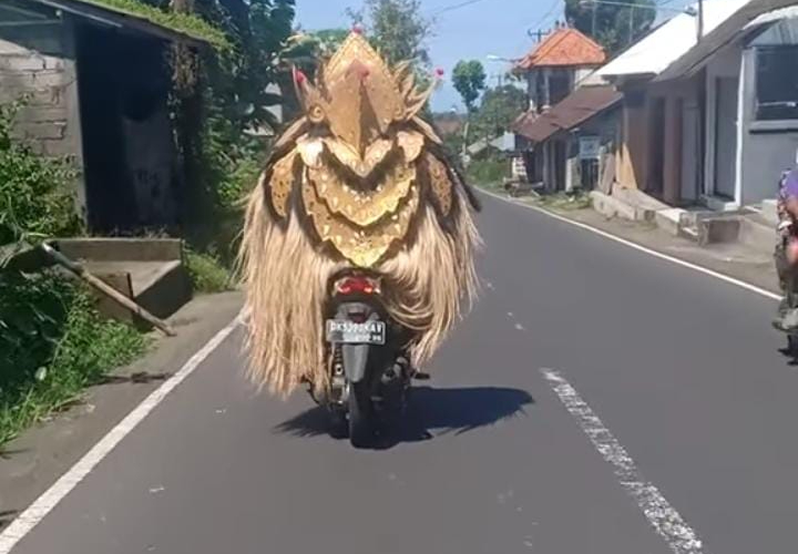 Seorang pemotor terlihat membawa kostum barong menggunakan motor