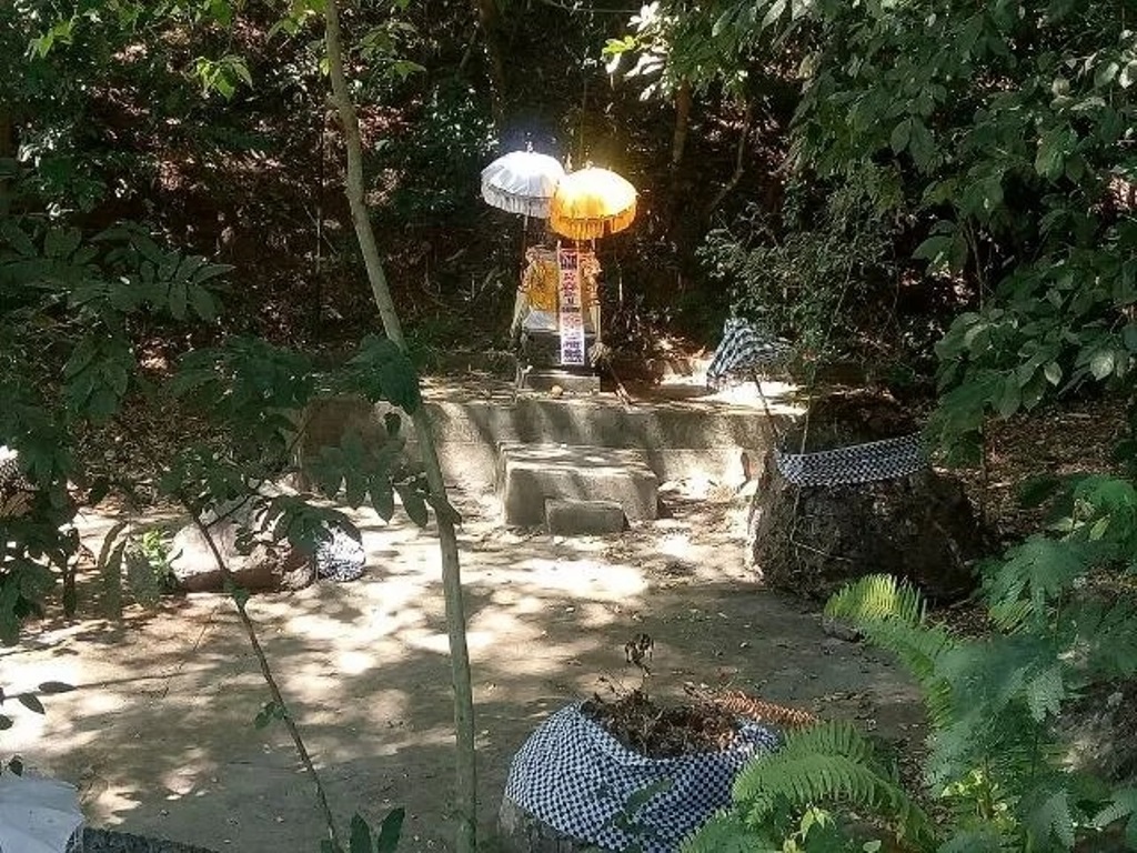 Tradisi Nampah Batu di Buleleng, Bali