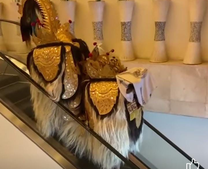 Sebuah video jadi perhatian warganet memperlihatkan barong naik eskalator