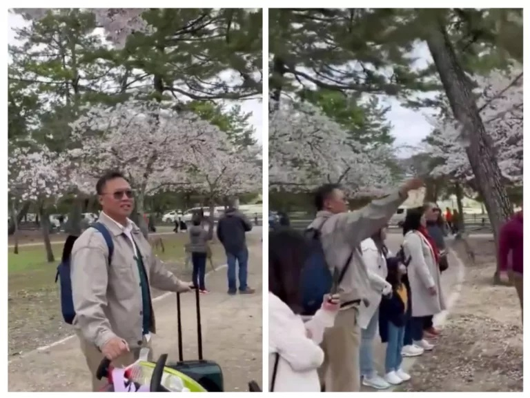 Oknum turis yang diduga berasal dari Indonesia rusak bunga Sakura di Jepang