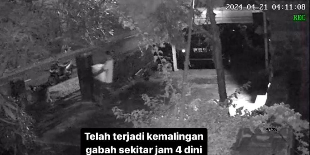 Kasus pencurian gabah terjadi di Banjar Gubug, Desa Gubug, Kabupaten Tabanan, Bali terekam CCTV, Senin, 22 April 2024.