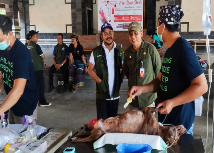 VAKSINASI DAN DEPOPULASI: Distan PP Karangasem melakukan vaksinasi rabies dan depopulasi anjing di Desa Bugbug, Karangasem, pada Kamis (25/4).