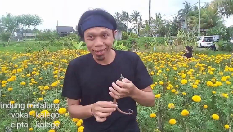 Lagu Lindung Melalung kembali viral di media sosial