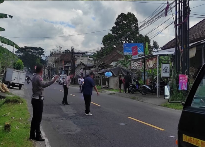TELUSURI : Olah TKP di lokasi tabrakan maut di Banjar Dinas Peneng Desa Mekarsari, Baturiti, Tabanan.