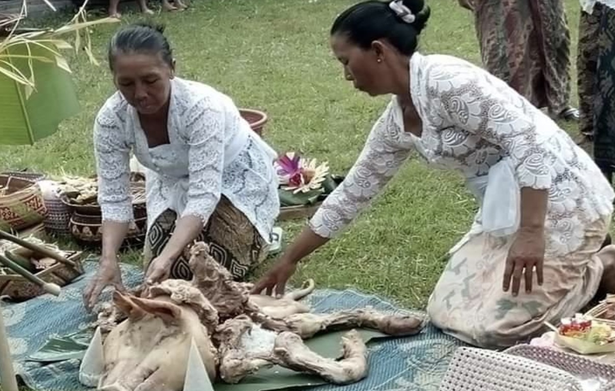 Tradisi Naur Kelaci di Banjar Adat Tinggan, Desa Pelaga, Kecamatan Petang, Badung (ist)