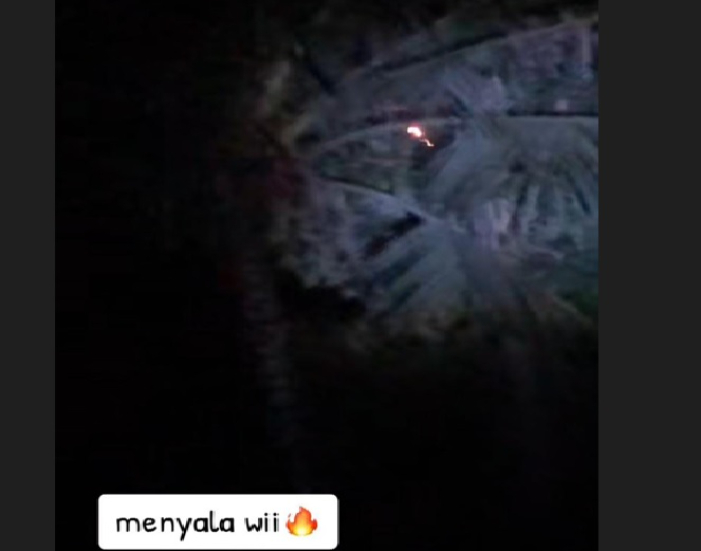 Seorang pemuda melihat kobaran api di atas sebuah pohon