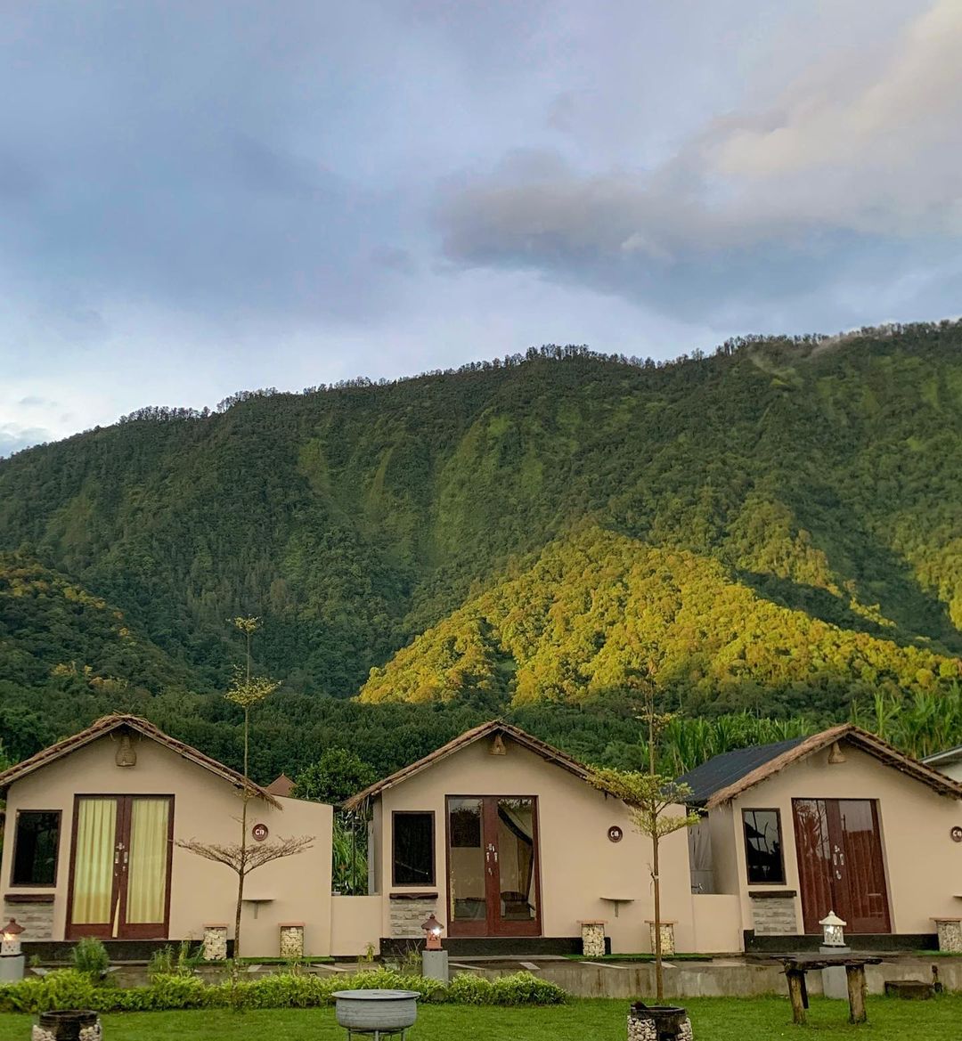 HONEYMOON: Kubu D Bedugul Camp menyediakan layanan glamping dan camping lebih istimewa dari Kintamani Bali, cocok untuk honeymoon.