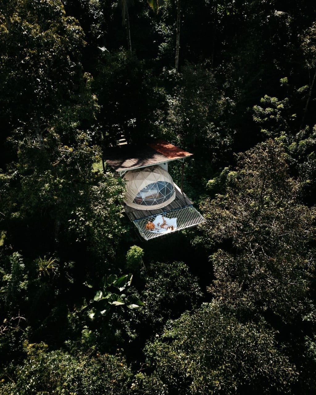 TENGAH HUTAN: Tempat glamping ini ada di tengah hutan, menawarkan sensasi yang tak kalah dengan Kintamani Bali, tetapi bisa nikmati kelas yoga hingga jeep tour.