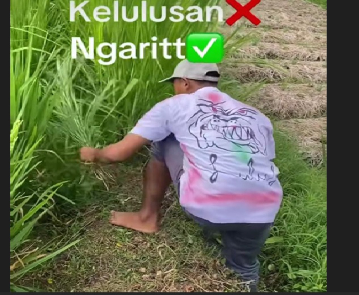 Seorang pemuda merayakan kelulusan sekolah dengan ngarit