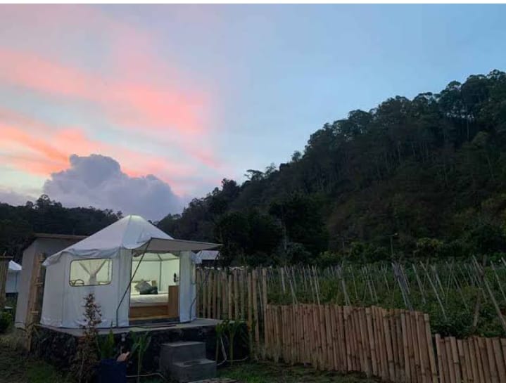 API UNGGUN: Tarif glamping di La Danu Camp hanya Rp200 ribu. Bisa nikmati Danau Batur Kintamani Bali sambil buat api unggun dan BBQ.