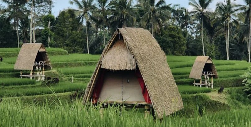 Glamping di Batan Nyuh Retreat tak kalah dengan Kintamani.