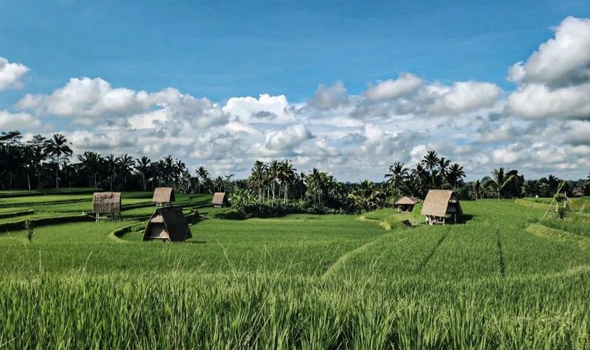 Glamping Batan Nyuh Retreat dari kejauhan mirip seperti gubuk petani.