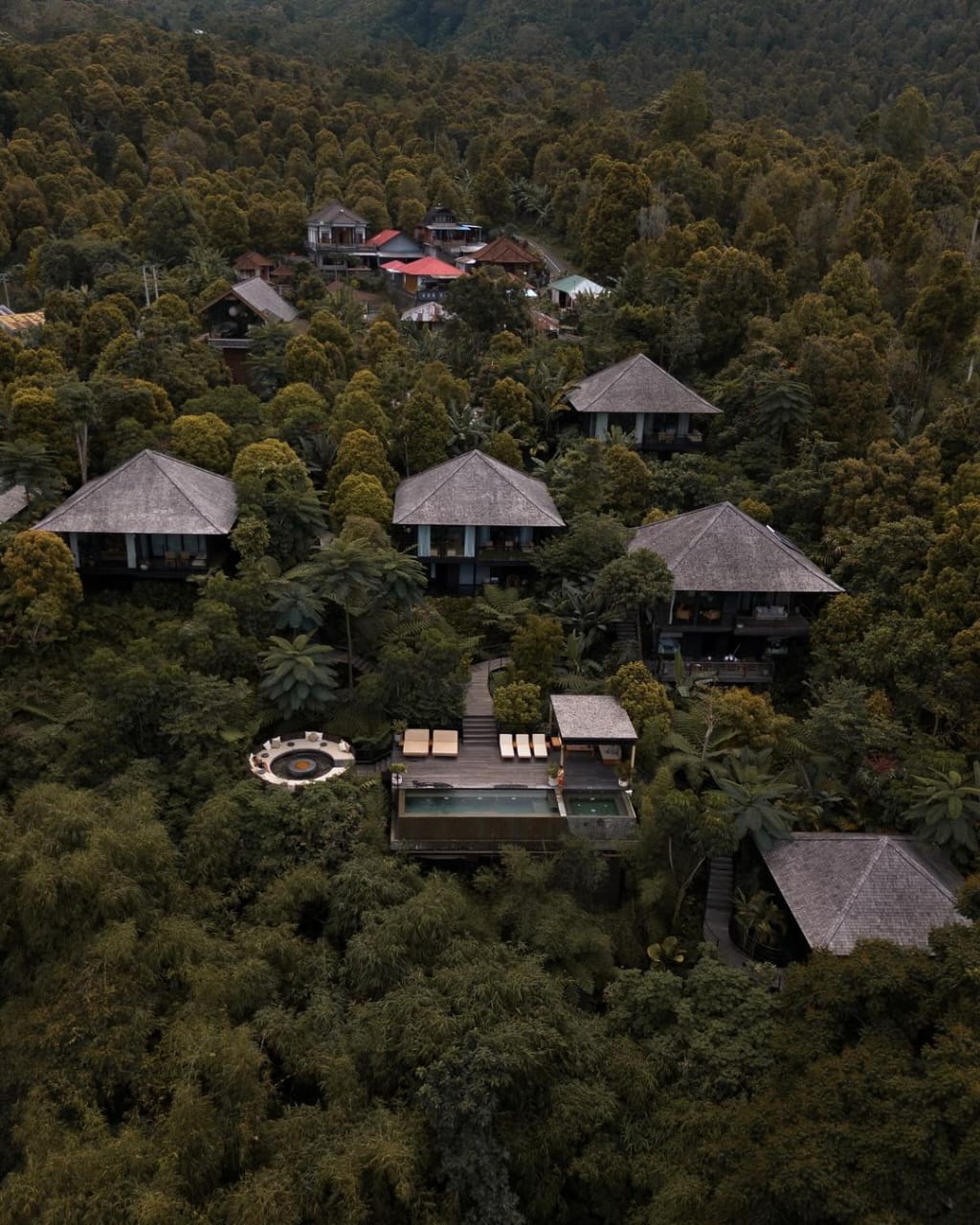 KEBUN CENGKEH: Munduk Cabins terletak di Buleleng, tak kalah indah dengan glamping di Kintamani Bali dengan pemandangan kebun cengkeh. Cocok untuk honeymoon.