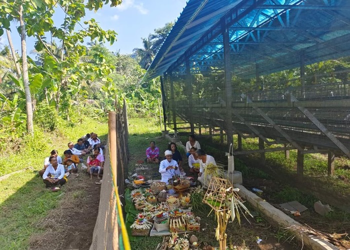 MENINGKATKAN TARAF HIDUP : Kandang ayam yang diberikan kepada KPM rumah deret di Desa Sulang, Dawan, Klungkung.