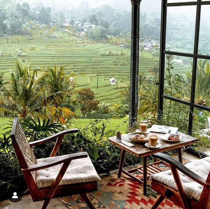 BUKAN GLAMPING: Bukan tempat glamping seperti di Kintamani Bali, tetapi tempat ngopi dengan view sawah terasering di Batukaru Kopi.