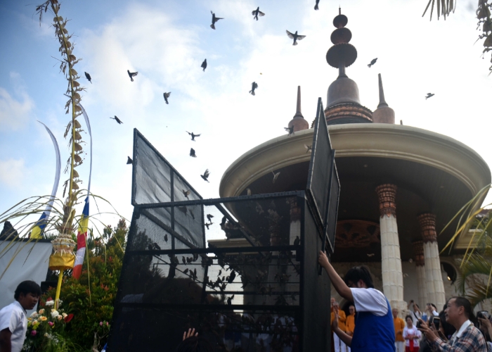 Umat Buddha di Vihara Buddha Saktamuni, Denpasar melepaskan 2.800 ekor burung, Kamis (23/5).