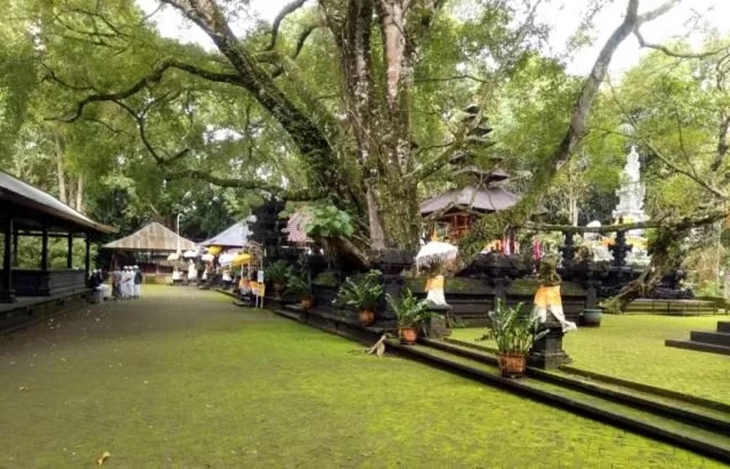 Pura Bukit Sinunggal, terletak di Desa Tajun, Kecamatan Kubutambahan, Kabupaten Buleleng, Bali