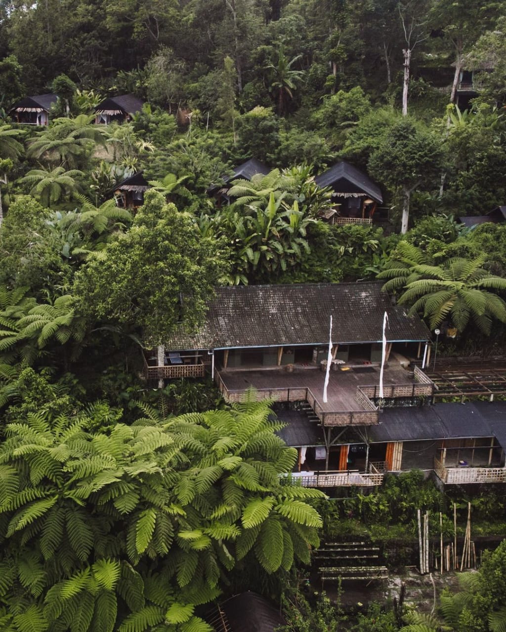 UNESCO: Diakui jadi situs UNESCO, glamping yang tak kalah dengan Kintamani Bali ini tawarkan pemandangan sawah dan Gunung Batukaru.