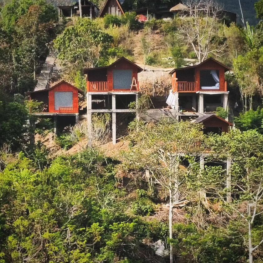 DI ATAS POHON: Kamani Cabin tawarkan sensasi glamping di atas pohon untuk menikmati pemandangan hutan Kintamani Bali. Cocok untuk honeymoon.