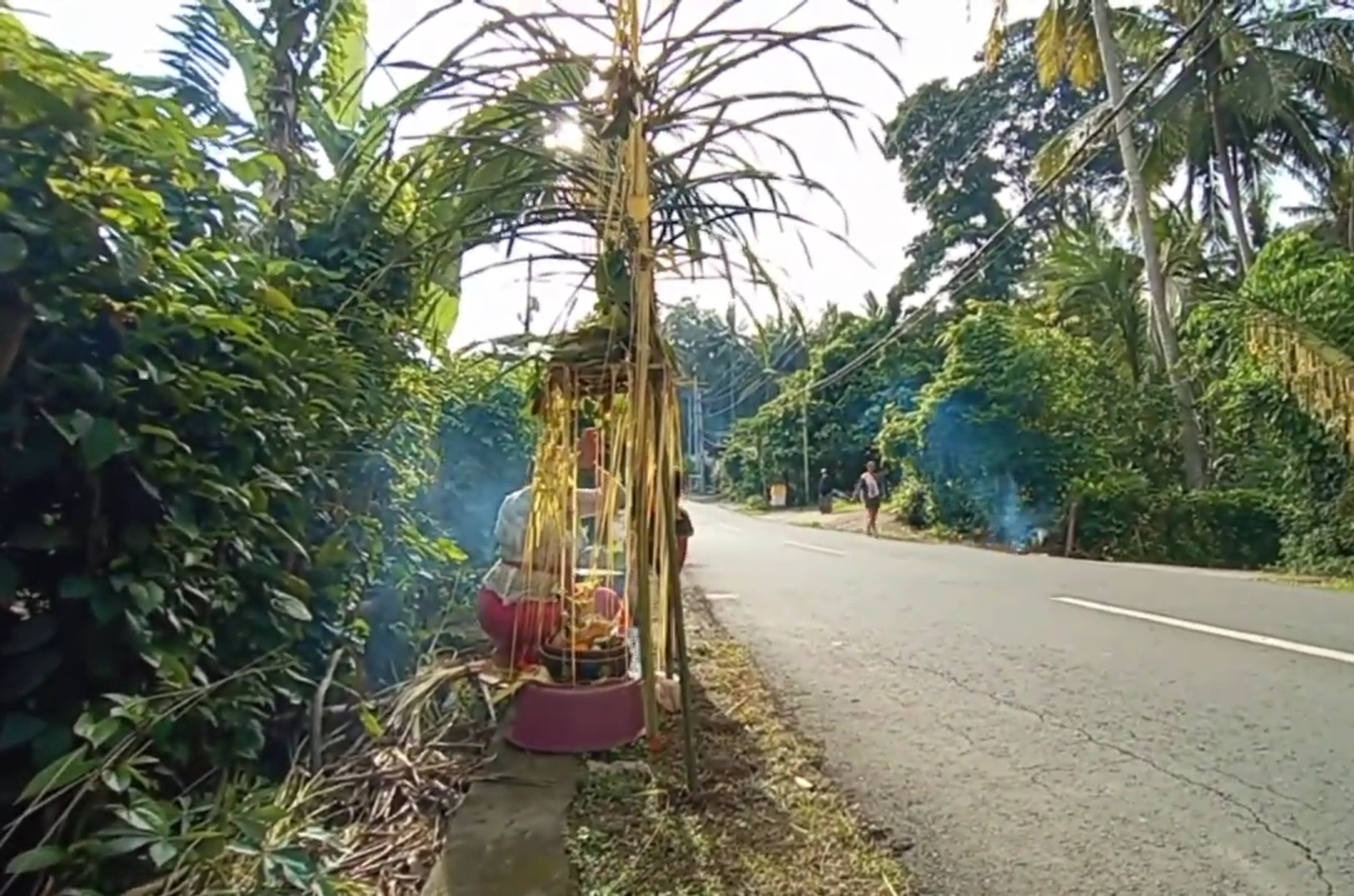 TANGKAP MEMEDI: Tradisi Ngusaba Memedi oleh umat Hindu Bali di Desa Bungaya, Karangasem, Bali diisi dengan ritual menangkap memedi.