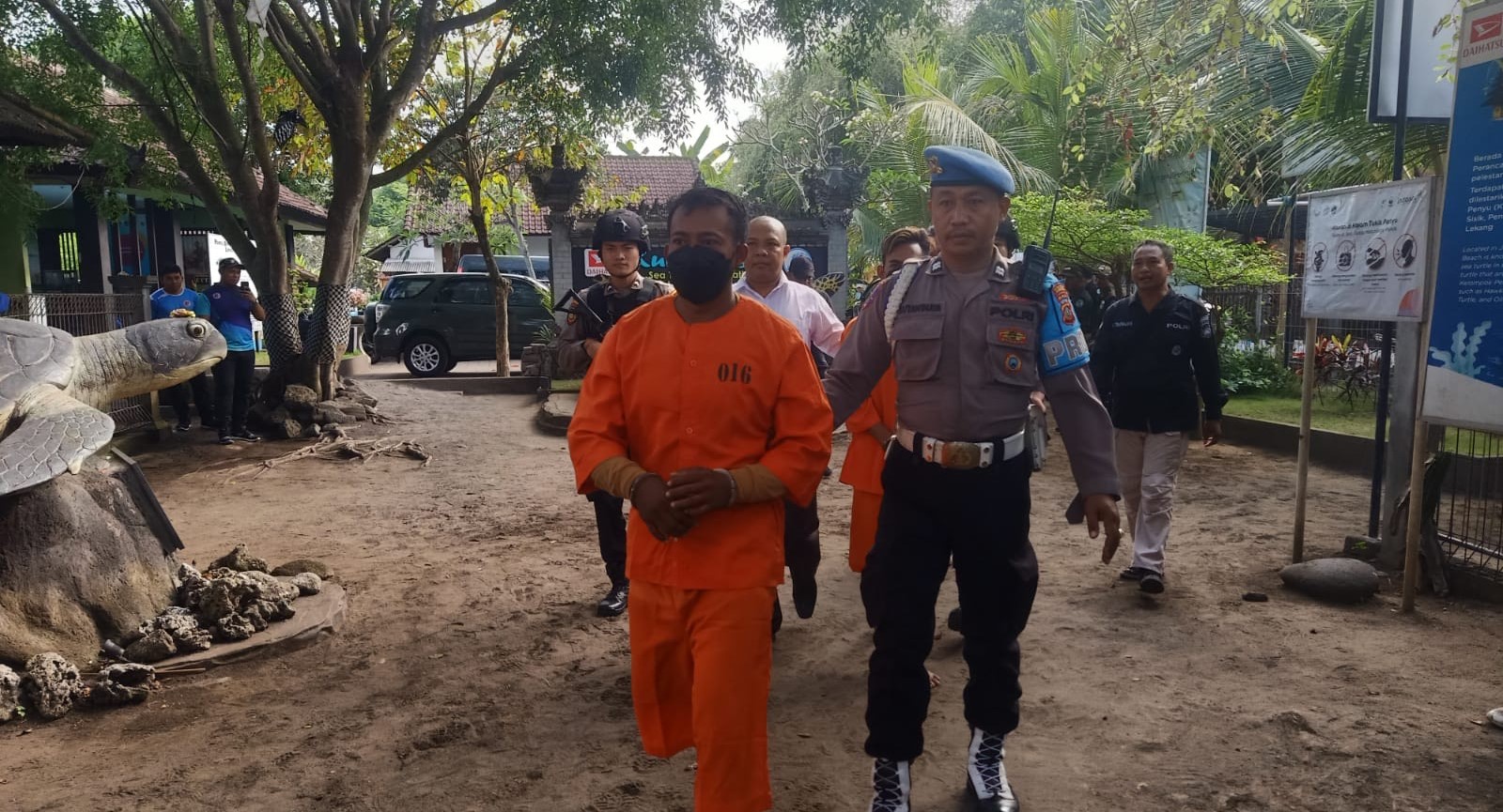 Polres Jembrana meringkus 2 pelaku penyelundupan penyu, sementara dua lainnya masuk DPO.
