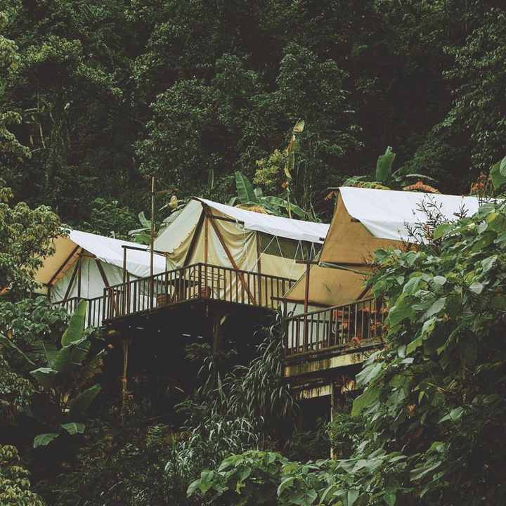 GLAMPING DI BADUNG: Memiliki udara yang sejuk dan berada di kawasan hutan, glamping di Badung ini mirip dengan Kintamani Bali. Bisa nikmati suara binatang hutan pada malam hari.