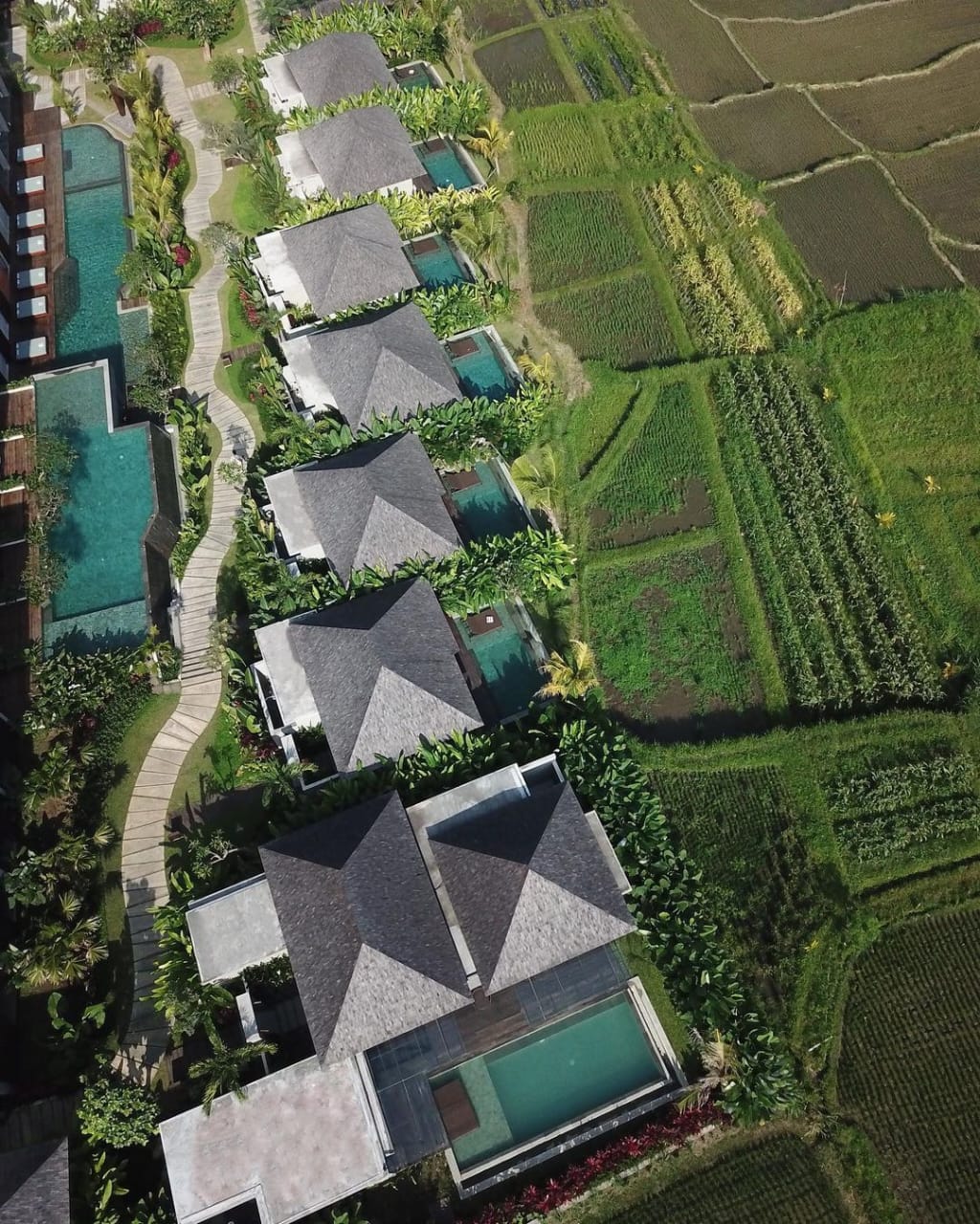 HOTEL: Hotel bintang 5 di Ubud ini tawarkan pengalaman liburan berbeda dengan glamping di Kintamani Bali, tetapi anggarannya bisa disesuaikan.