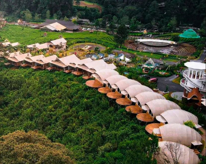 Asstro Highland Ciater Glamping Suguhkan Pemandangan Perbukitan teh yang hijau.