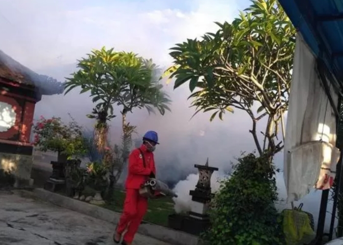 FOGGING : Aktivitas fogging yang dilakukan di Kabupaten Tabanan sebagai upaya pencegahan penyebaran virus DBD.