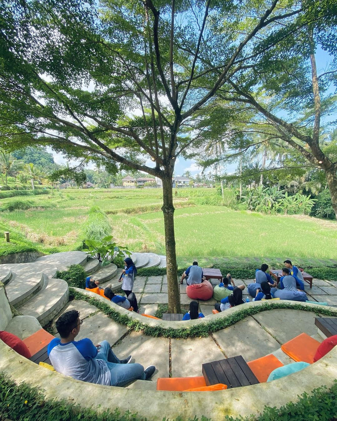 NGOPI MEWAH: Greenkubu Restaurant and Swing tempat ngopi mewah yang mepet sawah di Tegallalang, Gianyar. Bisa singgah jika ke glamping di Kintamani Bali.