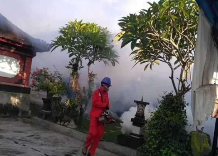 Aktifitas foging di Tabanan.