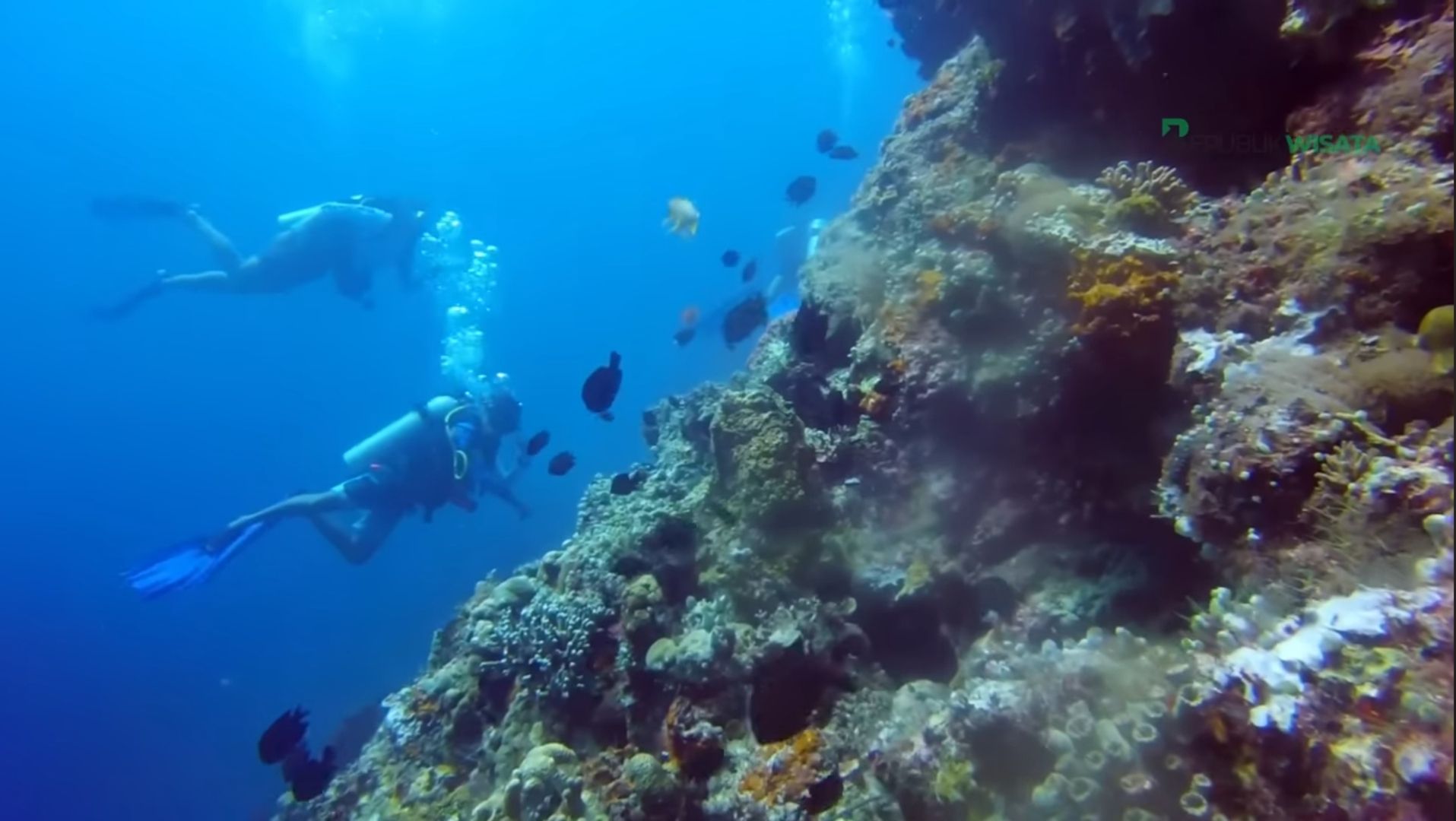 WISATA LAUT: Taman Nasional Bunaken merupakan destinasi wisata laut terbaik dunia. Tawarkan wisata snorkeling, berjemur hingga nikmati pemandangan dari atas air