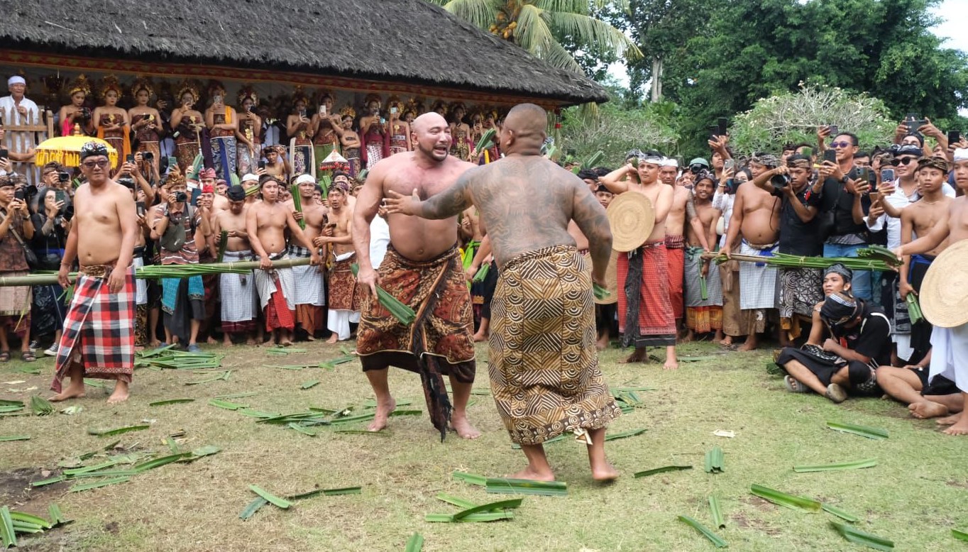 Ketua DPD Gerindra Bali Made Muliawan Arya alias De Gadjah  ikut mageret pandan di Desa Adat Tenganan Dauh Tukad, Kecamatan Manggis, Karangasem, Bali, Selasa, 25 Juni 2024.