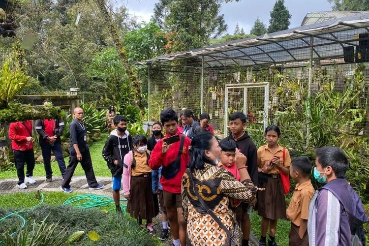 Meski bukan kawasan Glamping Kintamani, Kebun Raya Eka karya di Bedugul.memyediakan paket wisata jelajah hutan