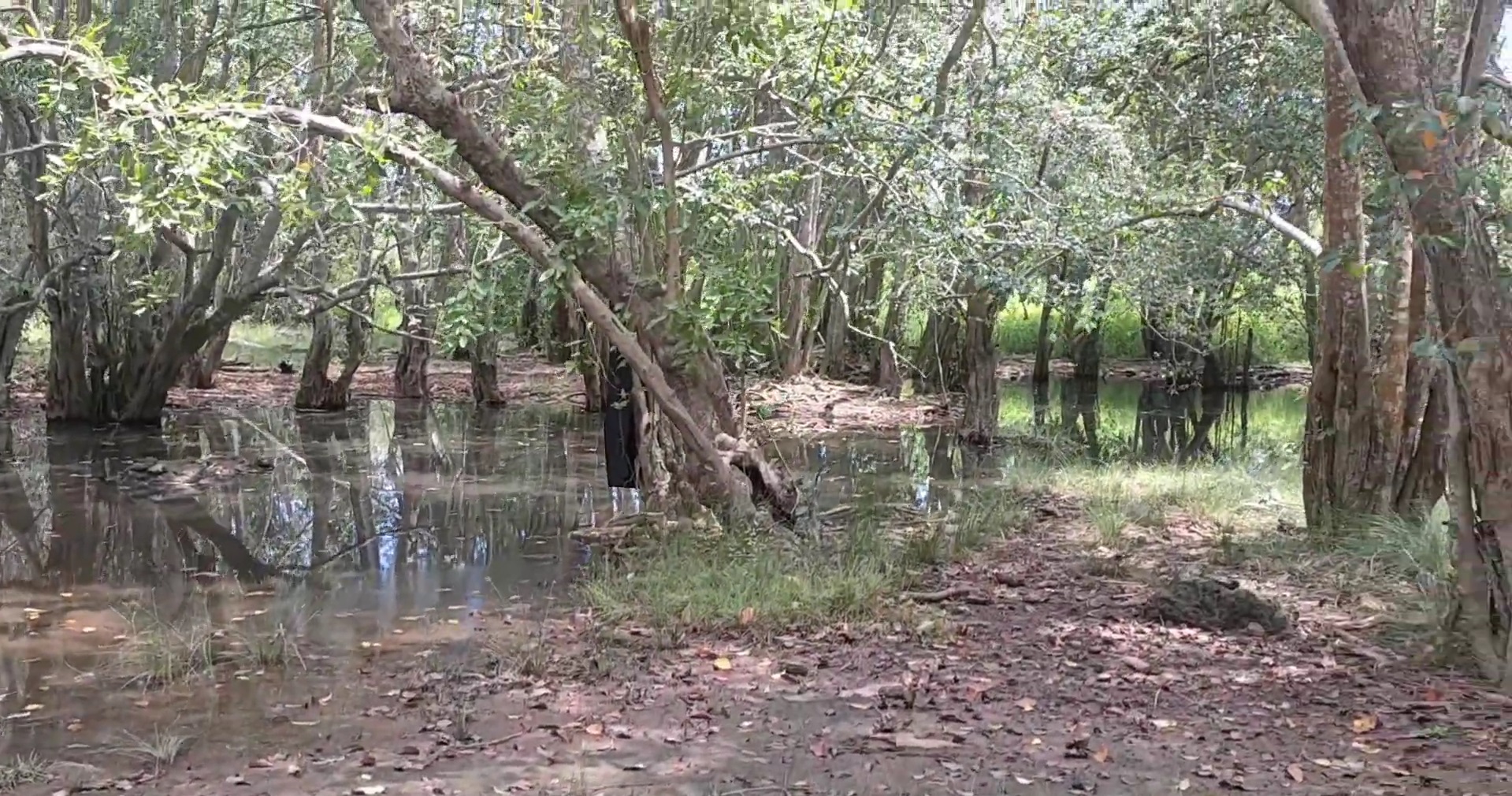 Telaga tiga warna di Pura Dang Kahyangan Prapat Agung kawasan TNBB