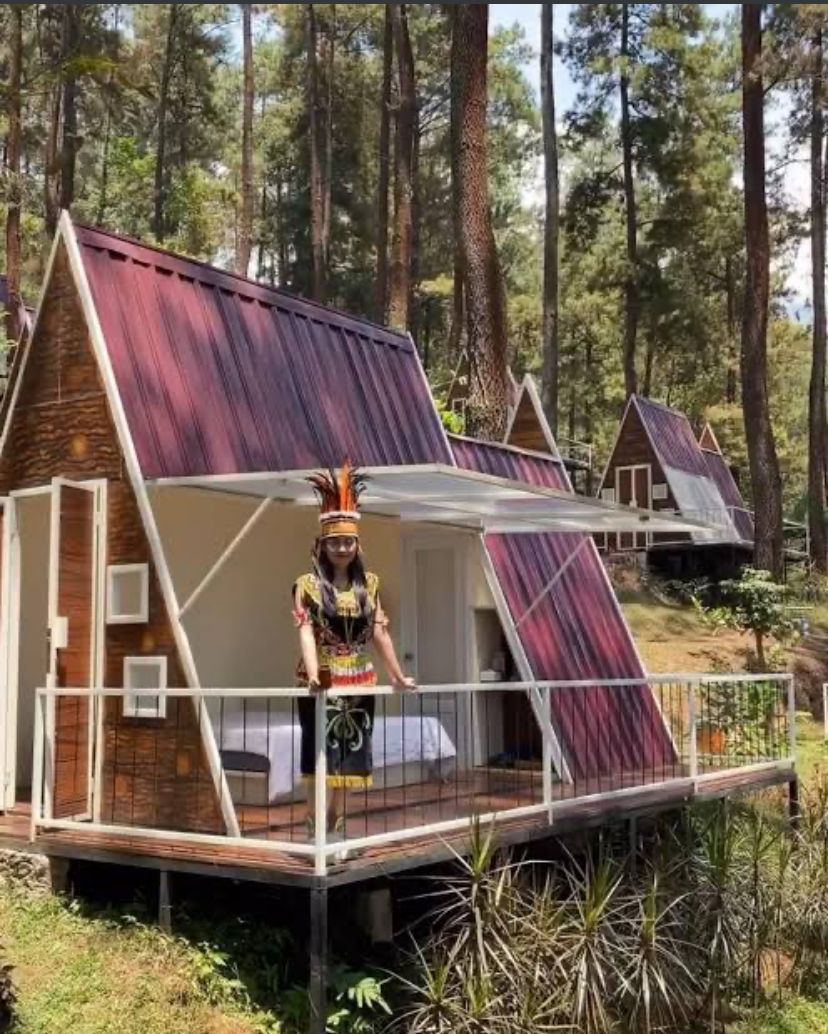 HUTAN PINUS: Kawasan hutan pinus di Locca Lodge Trawas mirip dengan beberapa tempat glamping di Kintamani Bali. Dilengkapi fasilitas mewah, terasa kembali ke alam.