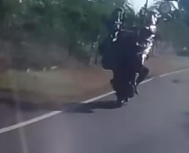 Seorang warganet mengirimkan video dugaan pembalakan liar di hutan Bali Barat