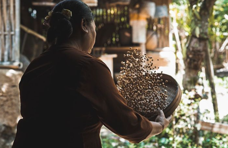 Bali Pulina