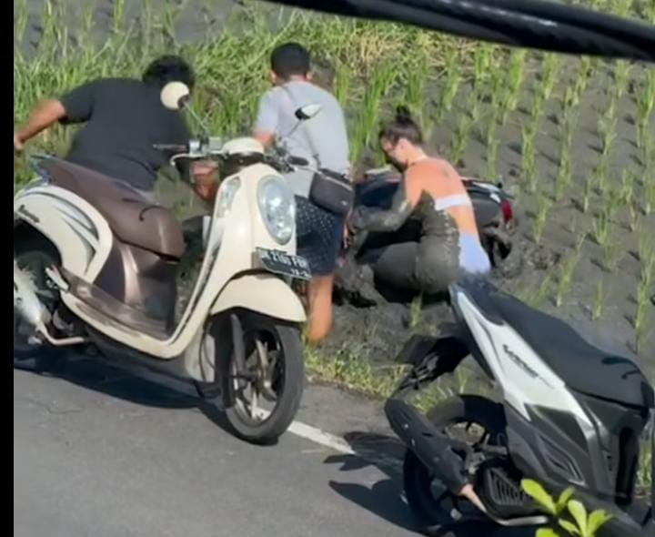 Dua warga lokal membantu bule dan motornya yang tercebur ke sawah