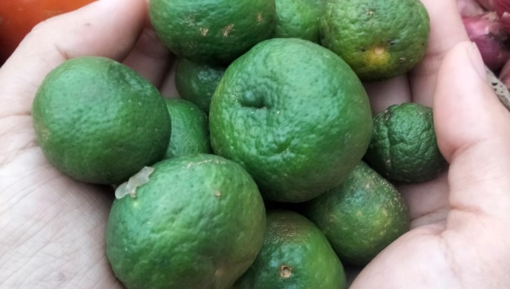 Jeruk limau yang sering digunakan sebagai penambah cita rasa dalam masakan