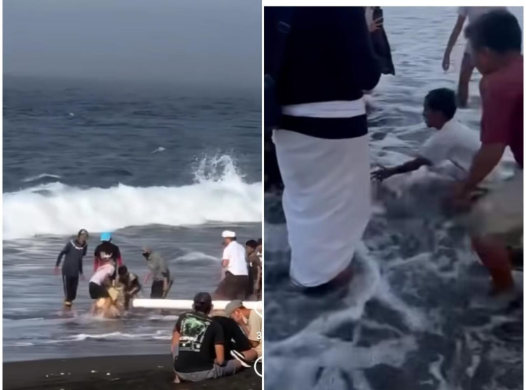 Lagi, aksi berburu sesari kembali warnai rangkaian upacara yadnya di Bali