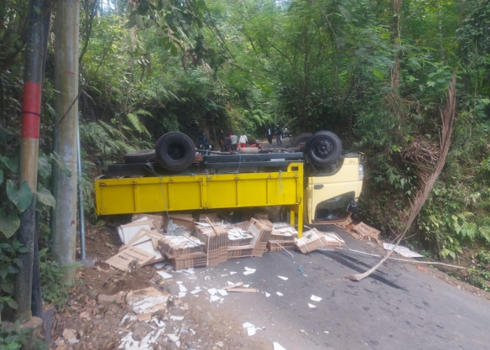 TERGULING : Kondisi truk yang terguling di Jalan Raya Kelusa, Desa Kelusa, Kecamatan Payangan, dekat tanjakan Pura Hyang Api, pada Kamis pagi (18/7) sekitar pukul 11.45 WITA.