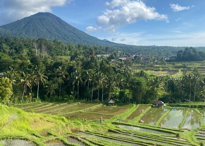 Pemandangan Desa Jatiluwih.