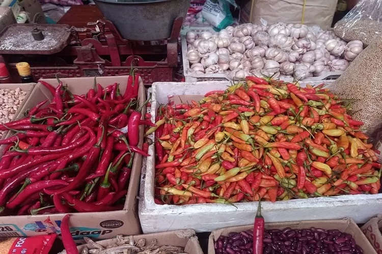 Harga Cabai makin meroket di pasaran